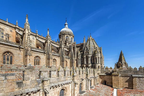 Old Cathedral, Salamanca, Castile and Leon, Spain