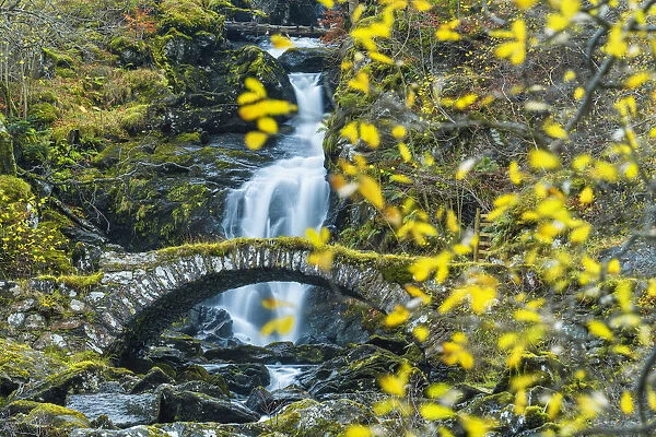 Packhorse Bridge & Waterfall in Autumn, Glen Lyon, Perth & Kinross, Scotland