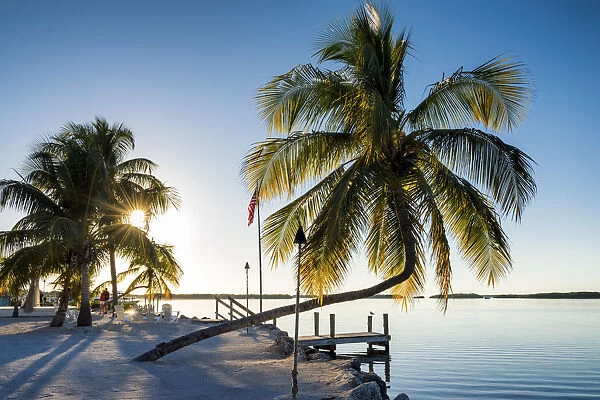 Palm Trees & Jetty, Islamorada, Florida Keys, USA