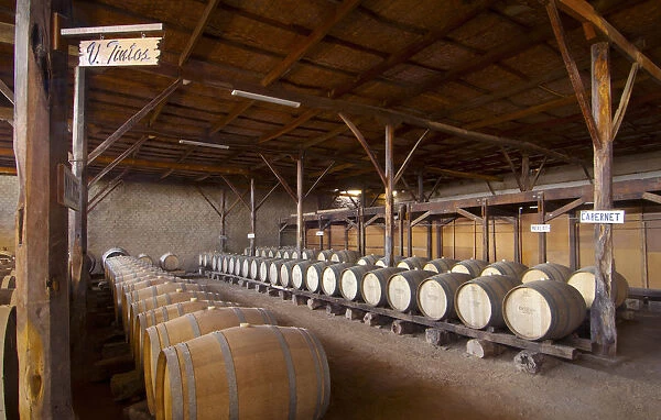 Peru, Bodega Ocucaje, Winery And Vineyards, Barrels Of Aging Red Wines, Ocucaje Desert