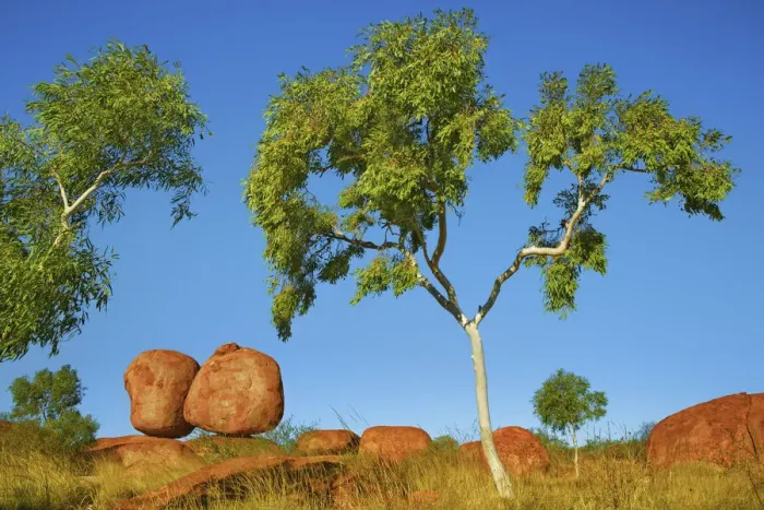 Framed Print : Devils Marbles Rock Formation Print Framed Print : Devils Marbles Rock Formation Print