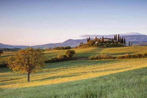 Rolling hills and farmhouse at sunrise, Val d Orcia, Tuscany, Italy