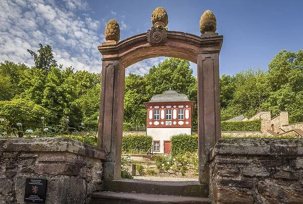 Rose garden in the Cistercian monastery Eberbach near Kiedrich, Rheingau, Hesse, Germany