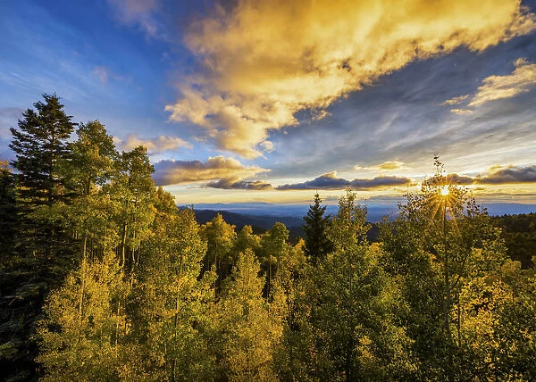 Santa Fe National Forest at Sunset in Autumn, Santa Fe, New Mexico, USA
