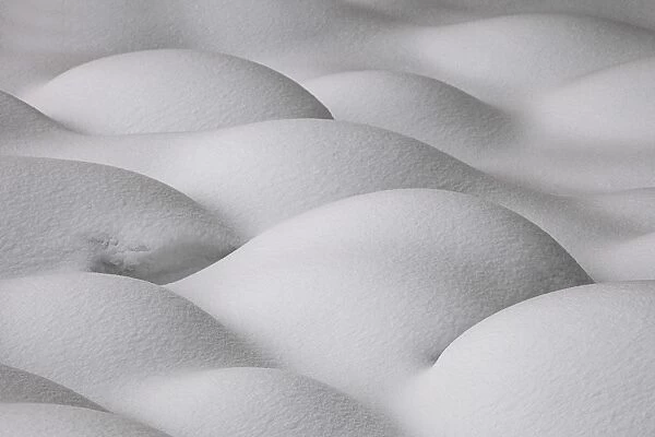 Slovenia, Sensual shapes on snow