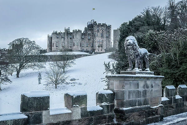 Snow covered lion sculpture on Lion Bridge, with Alnwick Castle in the background