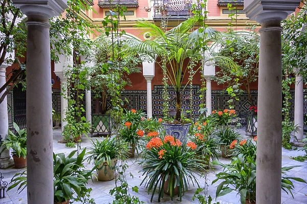 Spain, Andalusia, Seville, courtyard