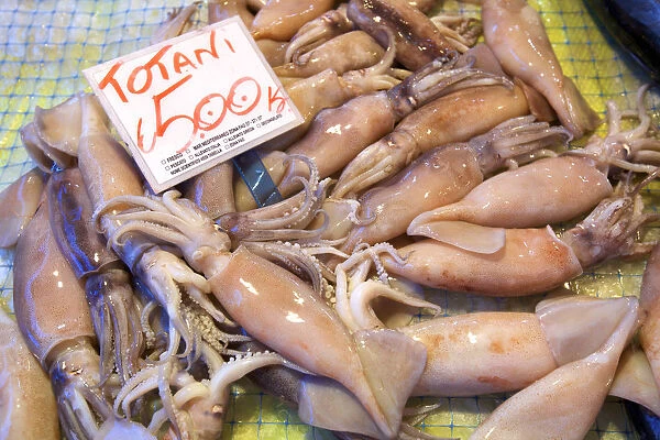Squid, Fish Market, Ortygia, Syracuse, Sicily, Italy