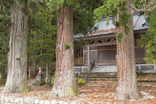 Temple in forest, Ogimachi, Shirakawa-go, Toyama Prefecture, Japan