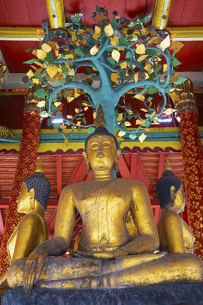 Thailand, Lampang, Wat Pong Sanuk Nua, low view of buddha