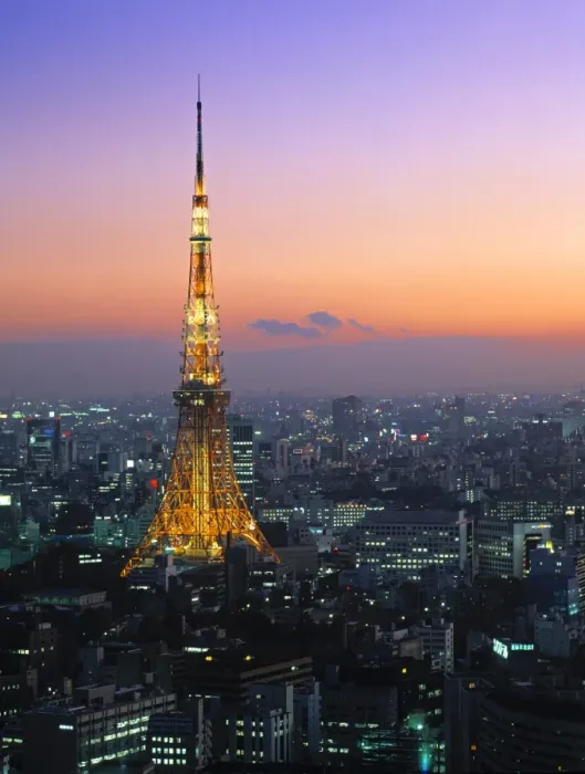 Framed Print : Tokyo Tower Print Framed Print : Tokyo Tower Print