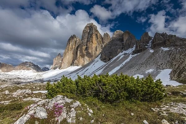 Tre Cime di Lavaredo or Drei Zinnen peaks, Dolomites, Cadore, Veneto, Italy