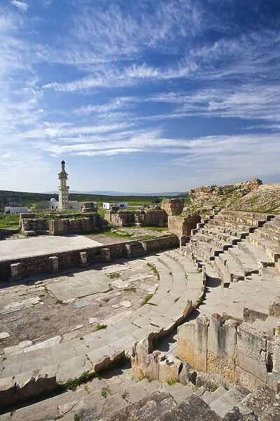Tunisia, Northern Tunisia, Bulla Regia, ruins of underground Roman-era villas, theater