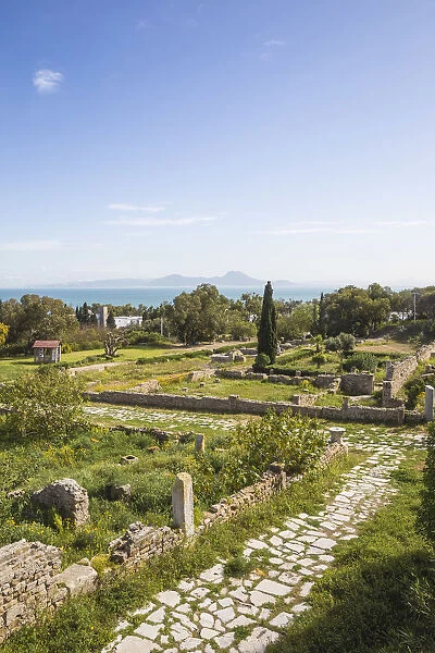 Tunisia, Tunis, Carthage, Roman Villas