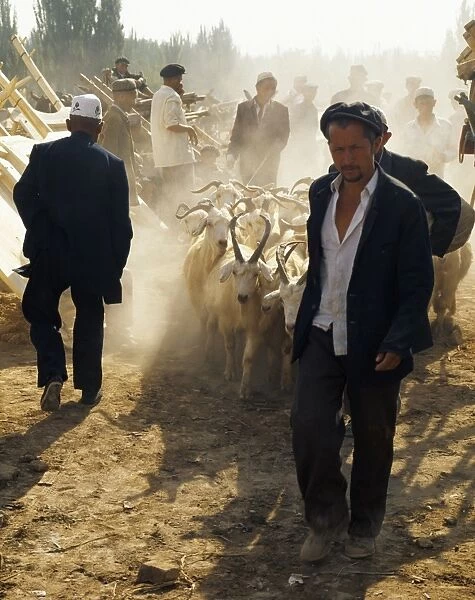 An Uigur man leads his herd of goats into the heart