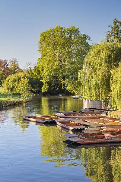 UK, England, Cambridge, River Cam, The Mill Pond, Punts
