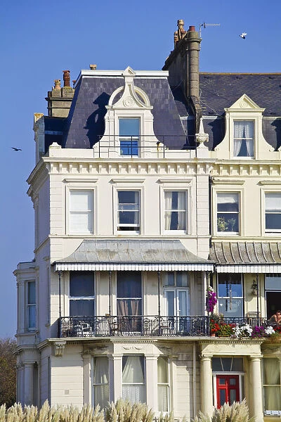 UK, England, Sussex, Brighton, Houses on seafront