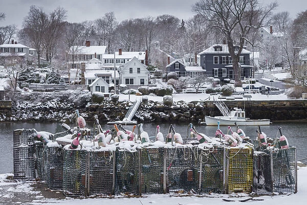USA, Massachusetts, Cape Ann, Gloucester, early snow fall and lobster buoys on Lobster