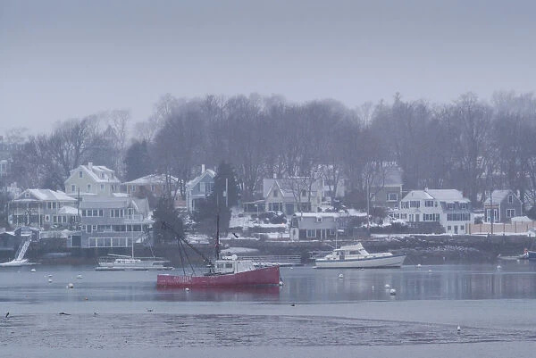 USA, Massachusetts, Gloucester, Annisquam, Lobster Cove, winter