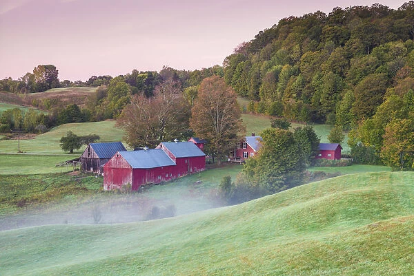 USA, New England, Vermont, Reading, Jenne Farm, autumn, dawn