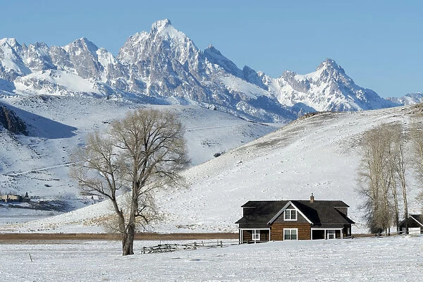 USA, Rocky Mountains, Wyoming, Jackson, National Elk Refuge, Teton peak