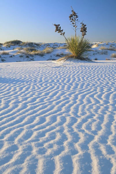 USA, Southwest; New Mexico, Otero County, Alamogordo, White Sands National Monument