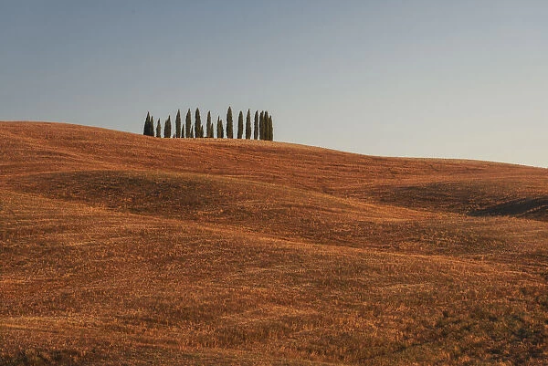 Val d Orcia Luglio Tuscany, Italy