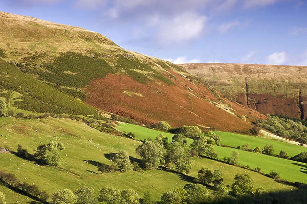 Vale of Ewyas and Offas Dyke, Brecon Beacons National Park, Monmouthshire, Wales, UK