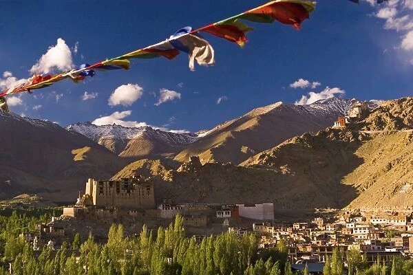 Ladakh: Land of the Lamas | Luxury Holidays | Cox & Kings