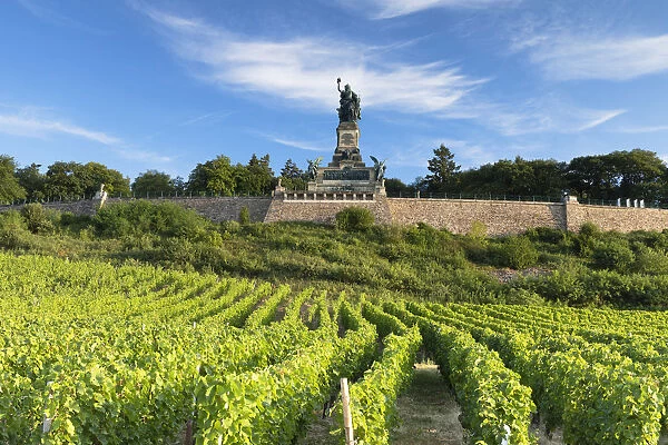Vineyards and Niederwalddenkmal monument, Rudesheim, Rhineland-Palatinate, Germany