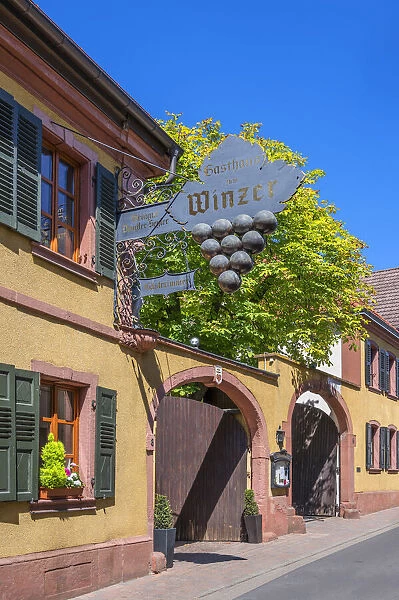 Wine bar at Maikammer, Palatinate wine road, Rhineland-Palatinate, Germany