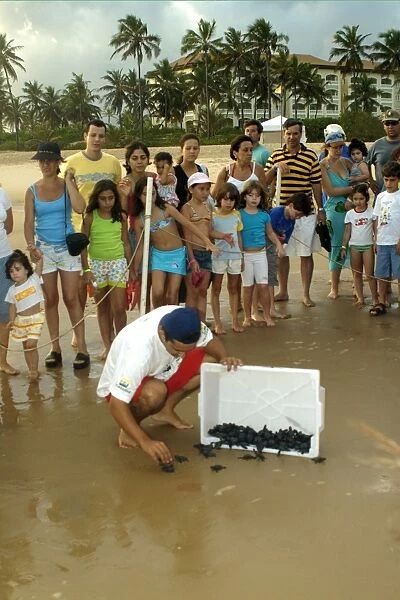 Curious children and parents observe olive ridley turtle hatchlings, Lepidochelys olivacea, being released into the ocean, Costa do Sauipe, Bahia, Brazil (South
