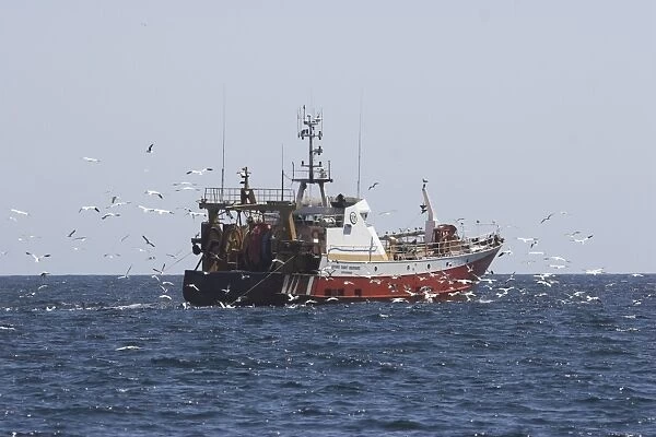 Fishing trawler surrounded by birds, The Smalls, Pembrokeshire, UK (RR)
