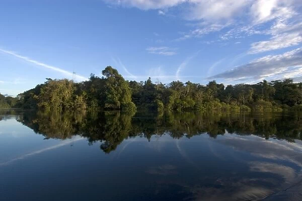 Flooded tropical rain forest, Mamiraua sustainable development reserve, Amazonas, Brazil