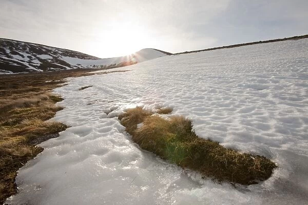 Snow melting in spring in the Cairngorm mountains in Scotland UK