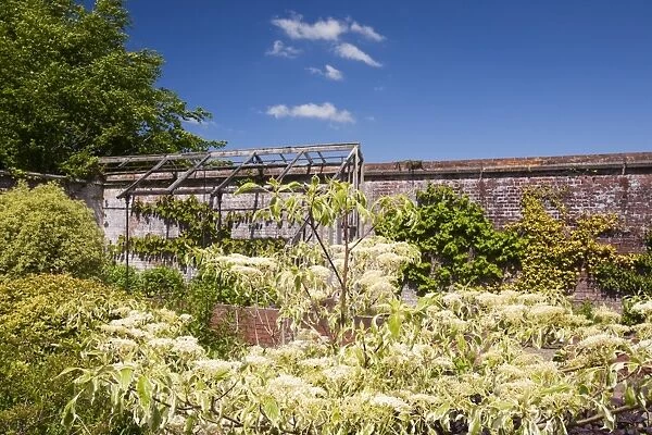 Winsford walled garden in Devon UK. A restored victorian walled garden