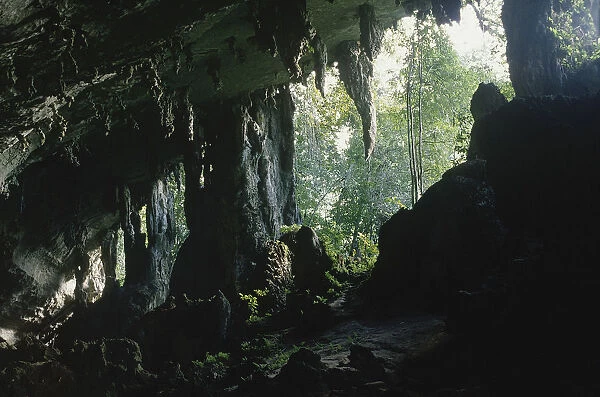10001484. MALAYSIA Borneo Kalimantan Niah Caves interior looking out towards the jungle