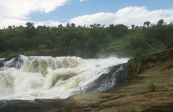20018969. UGANDA Murchison Falls View towards fast flowing water with forest behind