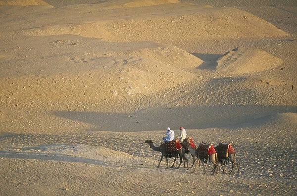 20035527. EGYPT Cairo Area Giza Camel train returning from the Pyramids