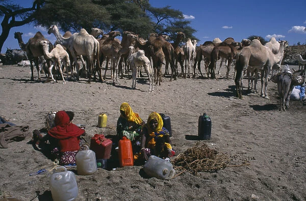 20040131. ERITREA Barentu Adi Keshi Camels at well and women with water containers