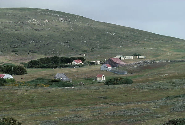 20049083. FALKLAND ISLANDS Carcass Island Houses in the settlement