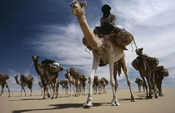 20050165. NIGER Tribal People Touareg camel caravan
