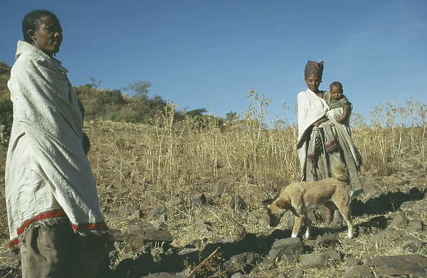 20050469. ETHIOPIA Tribal People Falasha women and child in field with dog