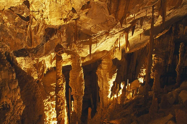 20061610. MALAYSIA Gunung Mulu National Park Deer Cave interior with stalactites