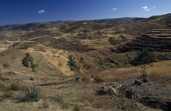 20070817. ERITREA Landscape Terraced hillsides and country road between Asmara and Keren