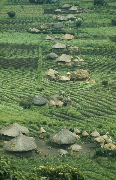 20070933. RWANDA Farmland Small thatched farmsteads and cultivated land