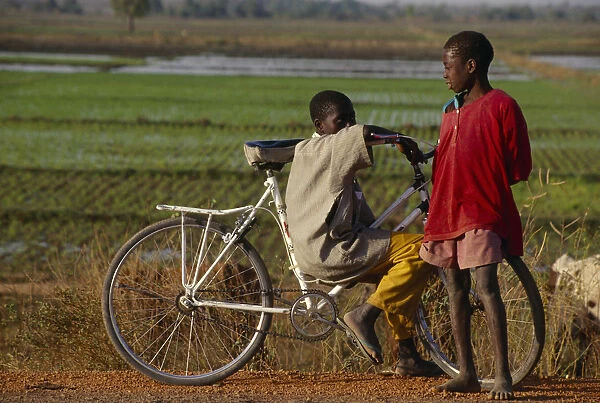 20072132. BURKINA FASO Bobo Dioulassou Two boys with a bicycle and a paddy field behind