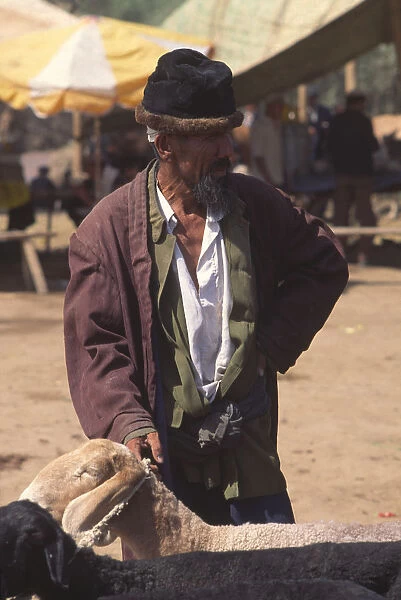 20072160. CHINA Xinjiang Province Kashgar Tajik man with sheep for sale
