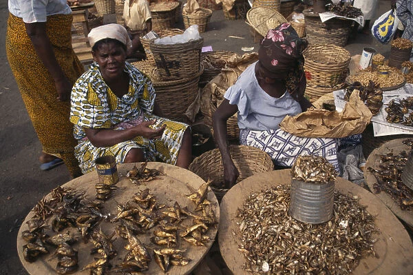 20075473. GHANA Accra Women selling dried fish at market. West Africa