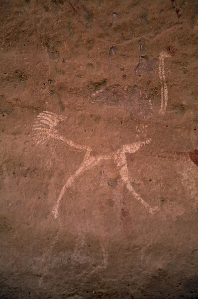 20076979. LIBYA Wadi Auis Detail of prehistoric rock art depicting ostrich